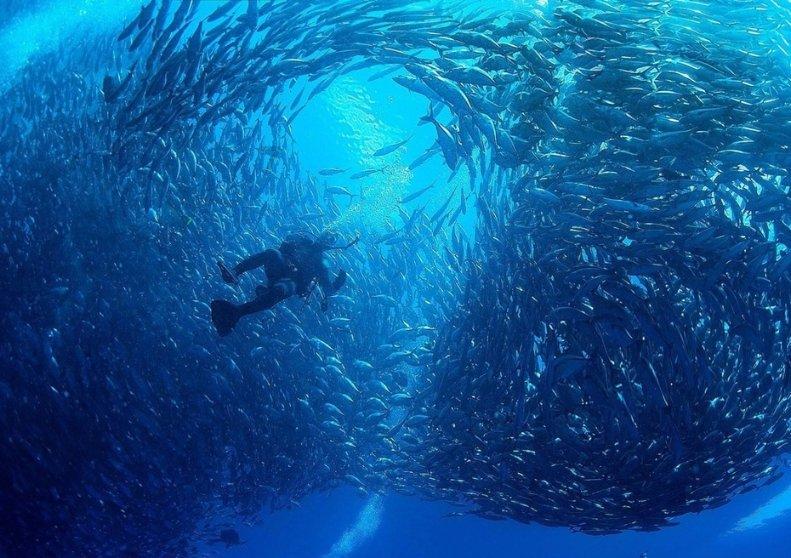 海滩小镇逃生