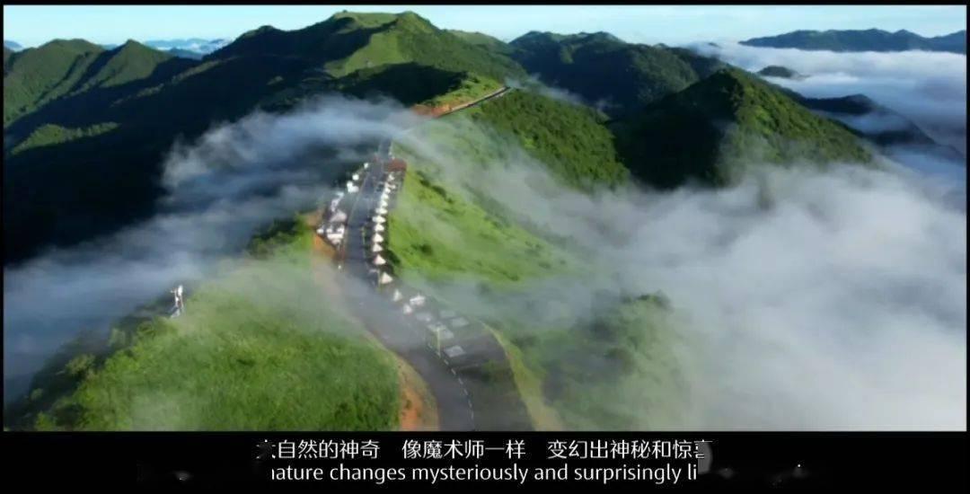 逃出郊外露营地