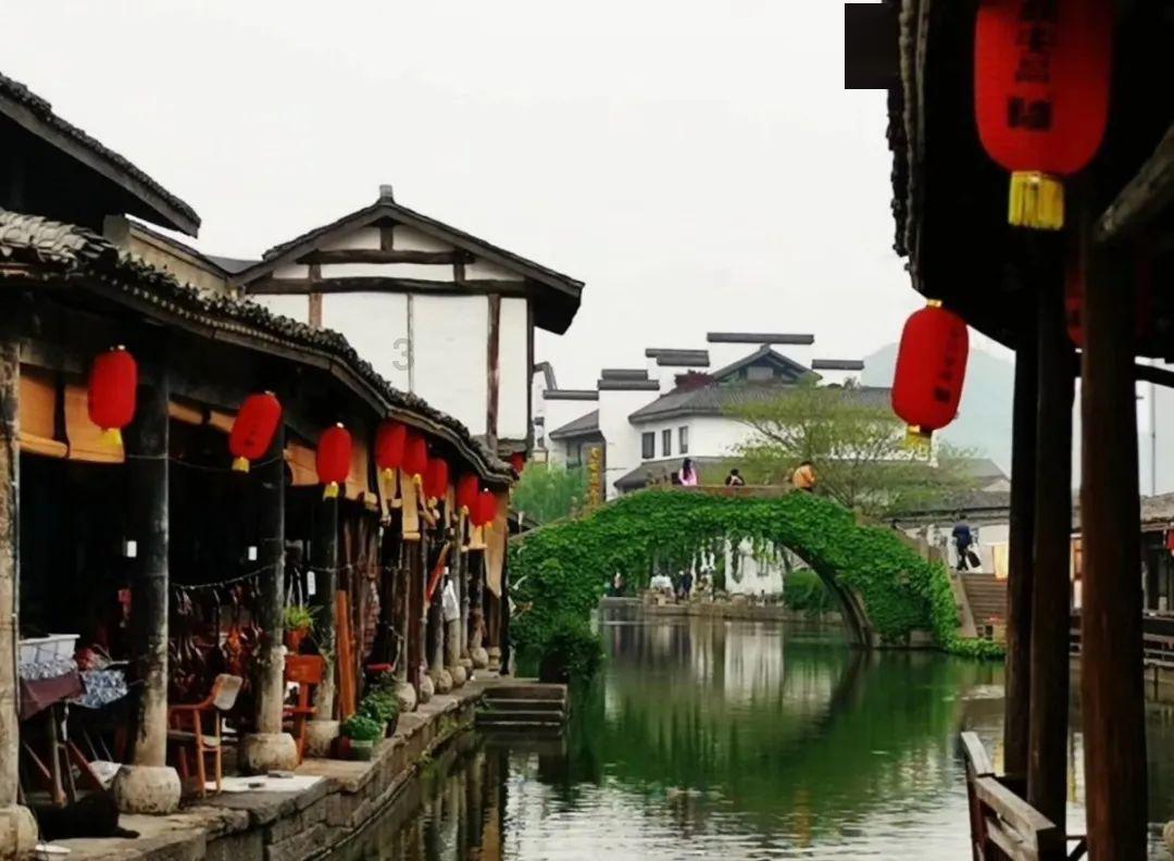 战锤：全面战争